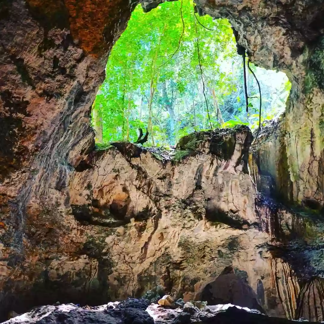 cave 2